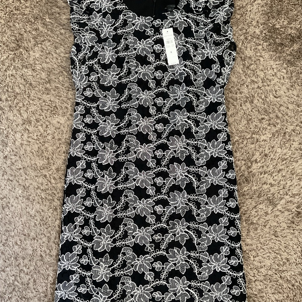 Ann Taylor Black and White Sheath Mini Dress